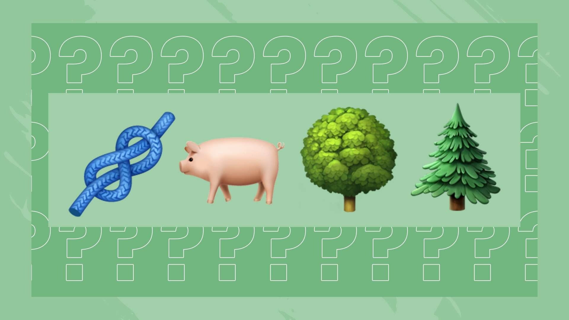 于数码产品 于数码产品