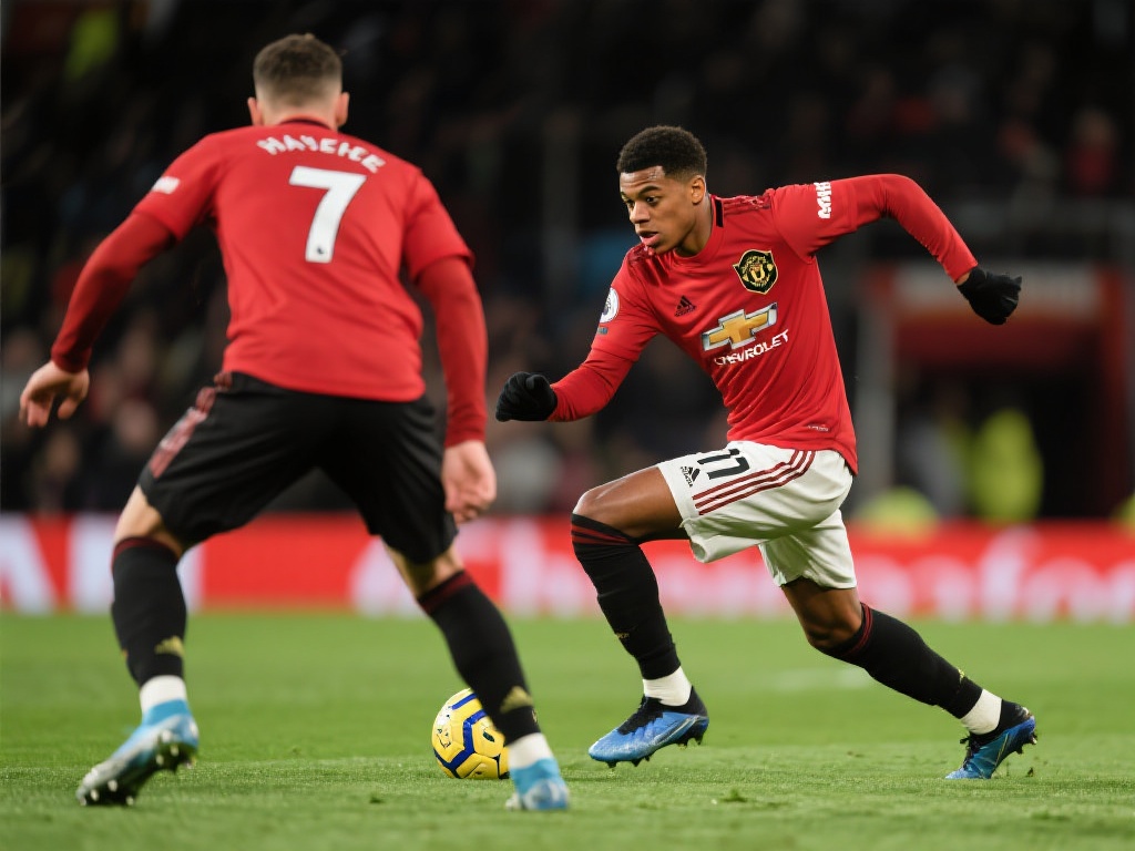 持续了数月 持续了数月