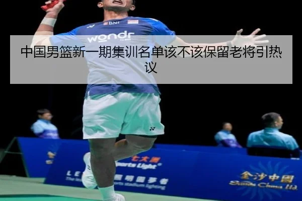 中国男篮新一期集训名单该不该保留老将引热议