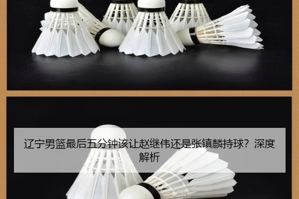 辽宁男篮最后五分钟该让赵继伟还是张镇麟持球？深度解析
