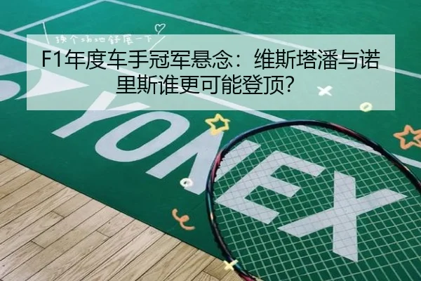 F1年度车手冠军悬念：维斯塔潘与诺里斯谁更可能登顶？